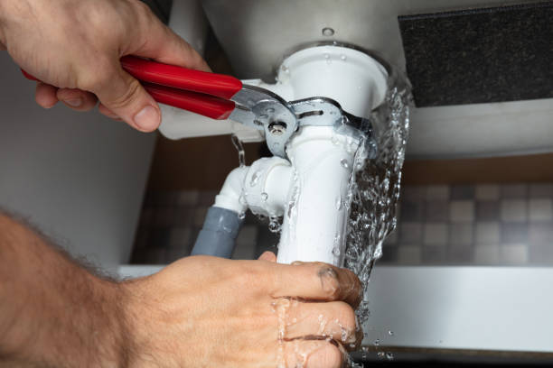 Best Flooded house restoration  in Meadow Oaks, FL