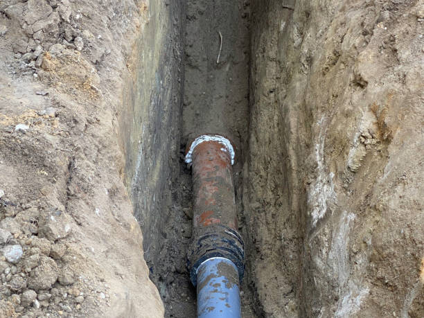 Best Flood restoration services  in Meadow Oaks, FL