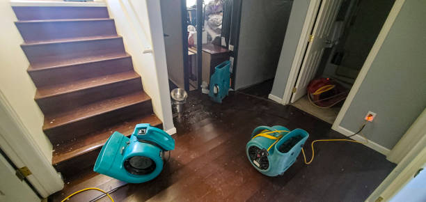 Best Residential water damage restoration  in Meadow Oaks, FL