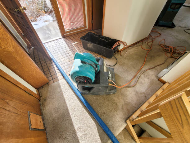 Best Fire Damage Restoration  in Meadow Oaks, FL
