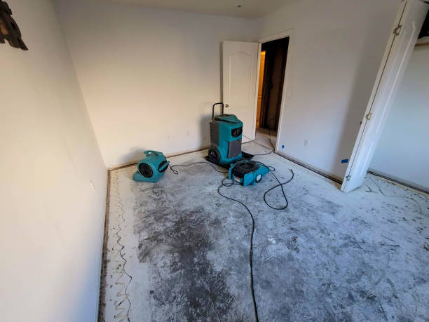 Carpet water damage restoration in FL