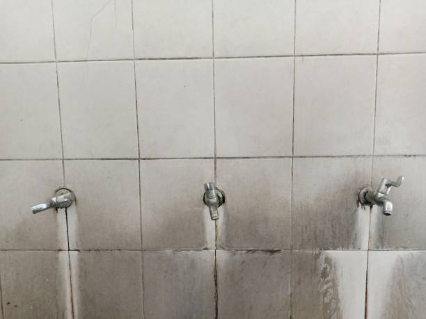 Best Commercial water damage restoration  in Meadow Oaks, FL