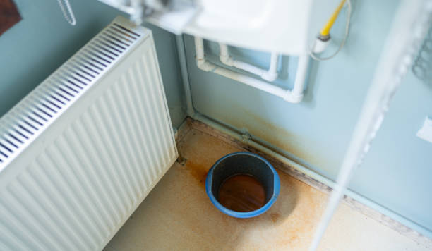 Best Flood restoration services  in Meadow Oaks, FL