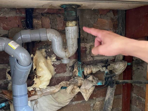 Best Water damage restoration near me  in Meadow Oaks, FL
