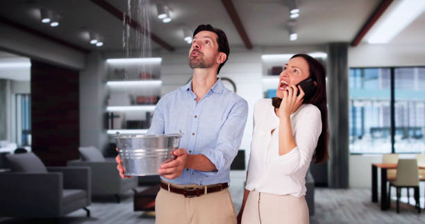 Best Ceiling water damage repair  in Meadow Oaks, FL